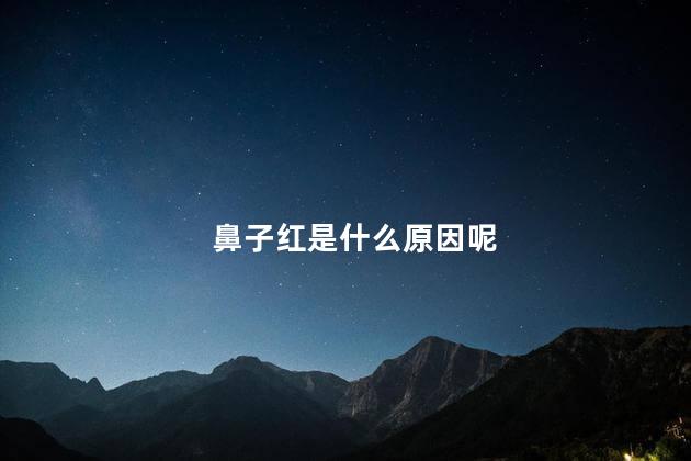 鼻子红是什么原因呢