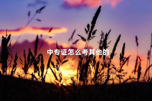 中专证怎么考其他的