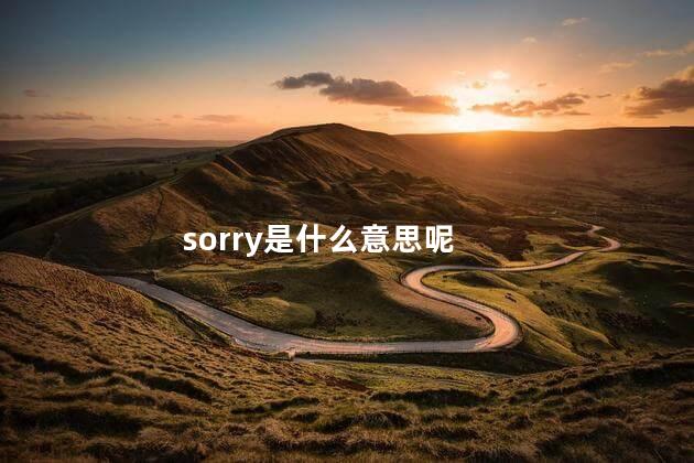 sorry是什么意思呢