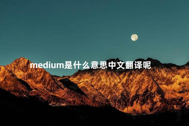 medium是什么意思中文翻译呢