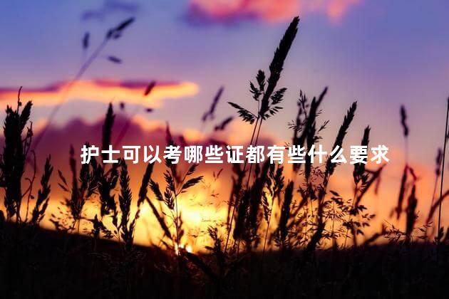 护士可以考哪些证都有些什么要求