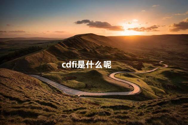 cdfi是什么呢