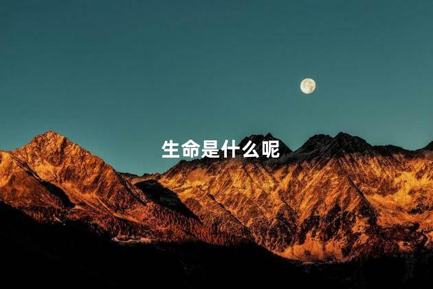 生命是什么呢