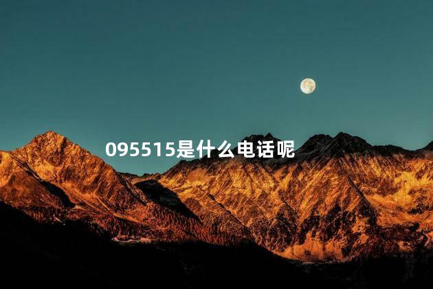 095515是什么电话呢