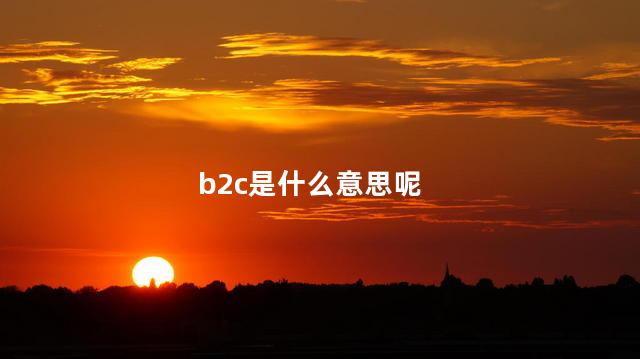 b2c是什么意思呢