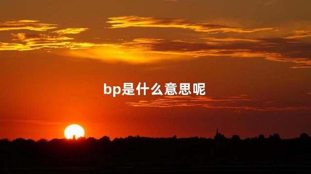 bp是什么意思呢