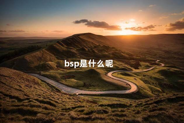 bsp是什么呢