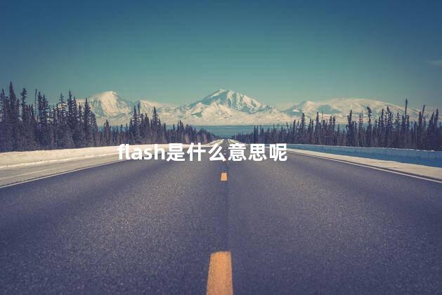 flash是什么意思呢