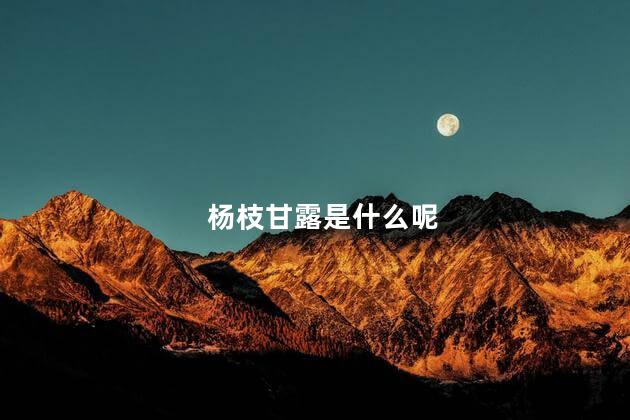 杨枝甘露是什么呢