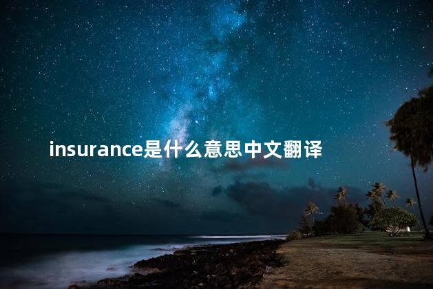 insurance是什么意思中文翻译呢