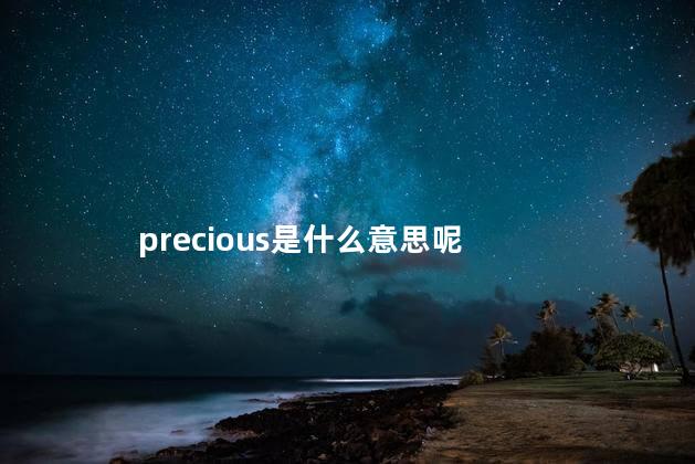 precious是什么意思呢