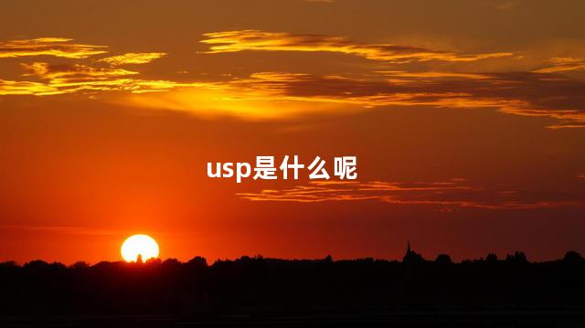 usp是什么呢