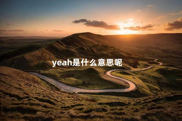 yeah是什么意思呢