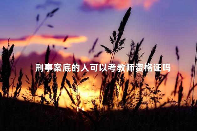 刑事案底的人可以考教师资格证吗