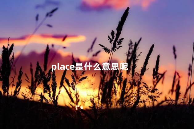 place是什么意思呢