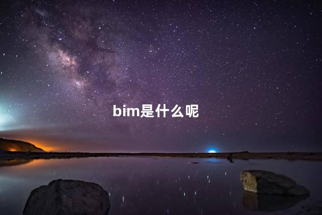 bim是什么呢,bim是指什么