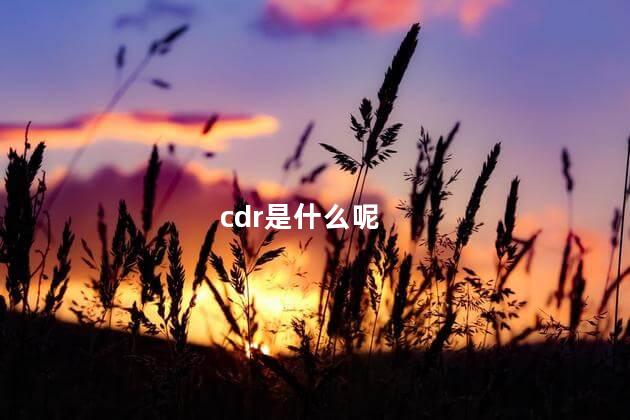 cdr是什么呢 cdrx4的菜单栏是白色的