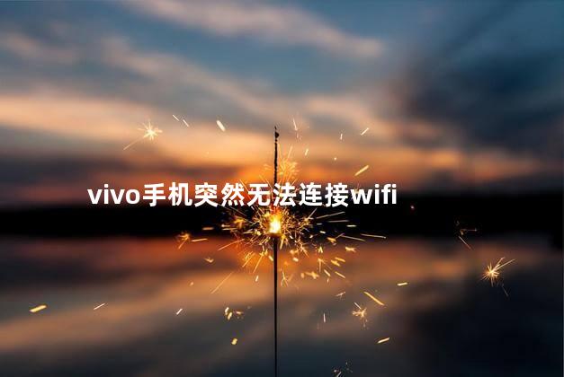 vivo手机突然无法连接wifi,vivo手机突然连不上网