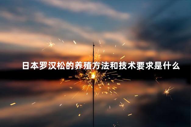 日本罗汉松的养殖方法和技术要求是什么，日本罗汉松养殖方法及注意事项